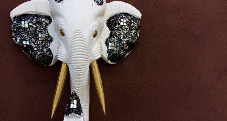 dierenschedel-decoratie
