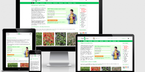 3 redenen om tuinplanten online te kopen!