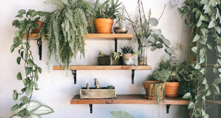 Creëer groen in het interieur