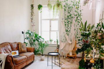 Groen thuis: een beginnersgids voor het kiezen van de juiste kamerplant