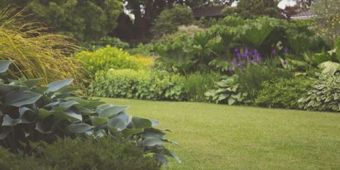 Van tuin idee naar werkelijkheid: hoe verloopt het aanleggen van een tuin?