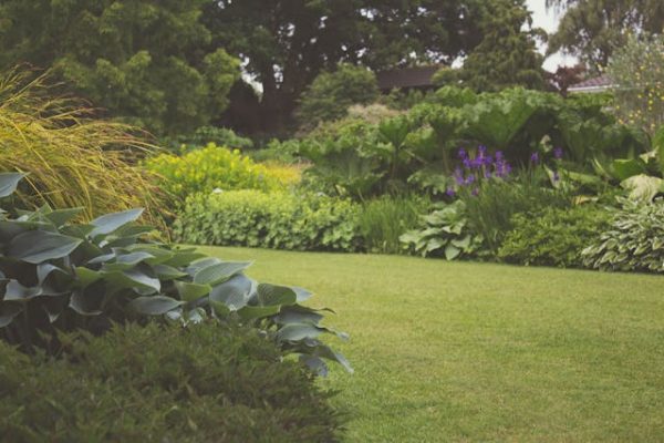 Van tuin idee naar werkelijkheid: hoe verloopt het aanleggen van een tuin?