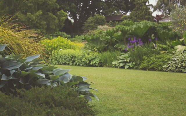 Van tuin idee naar werkelijkheid: hoe verloopt het aanleggen van een tuin?
